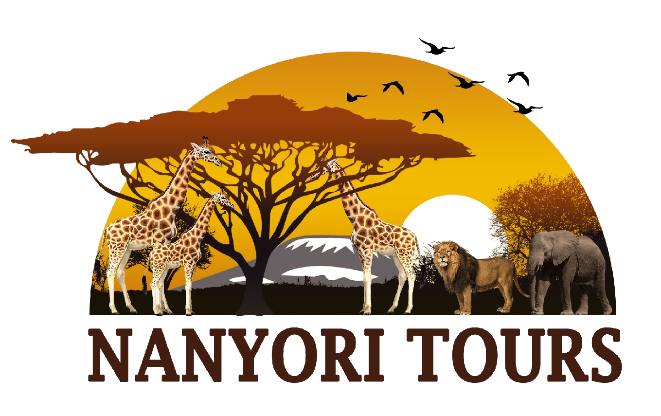 Nanyori Tours