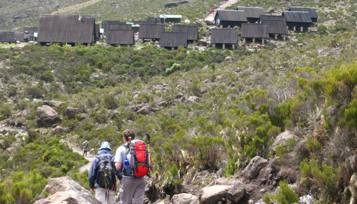 Mount_Kilimanjaro_5