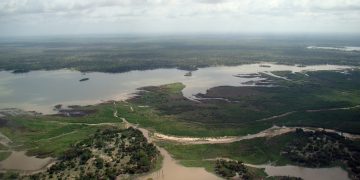 Nyerere National Park