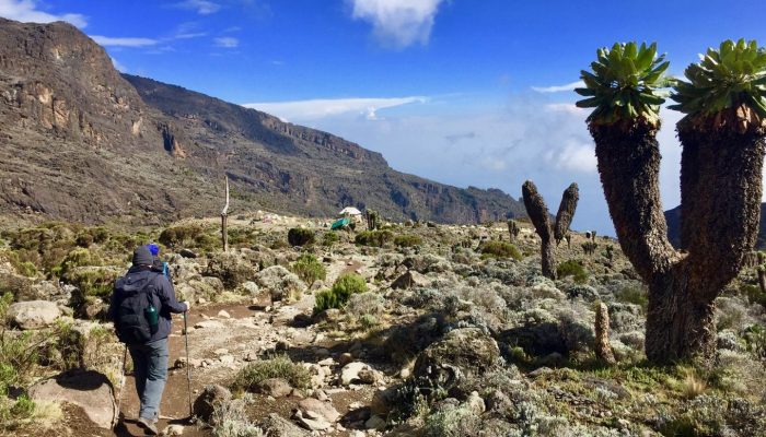 climb-kilimanjaro-via-machame-route-16-1360x900